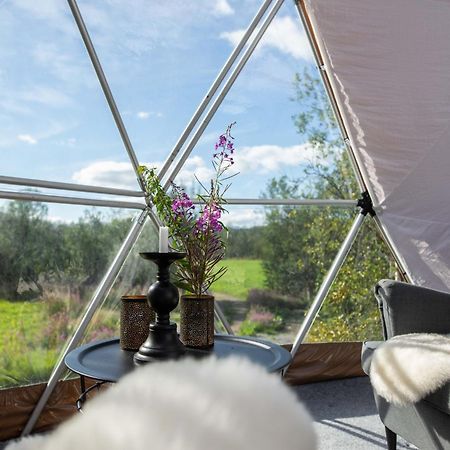 Aera - Glass Cabins Tromsø Dış mekan fotoğraf