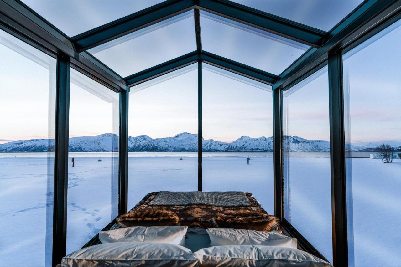 Aera - Glass Cabins Tromsø Dış mekan fotoğraf