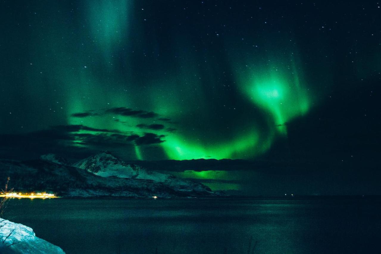 Aera - Glass Cabins Tromsø Dış mekan fotoğraf