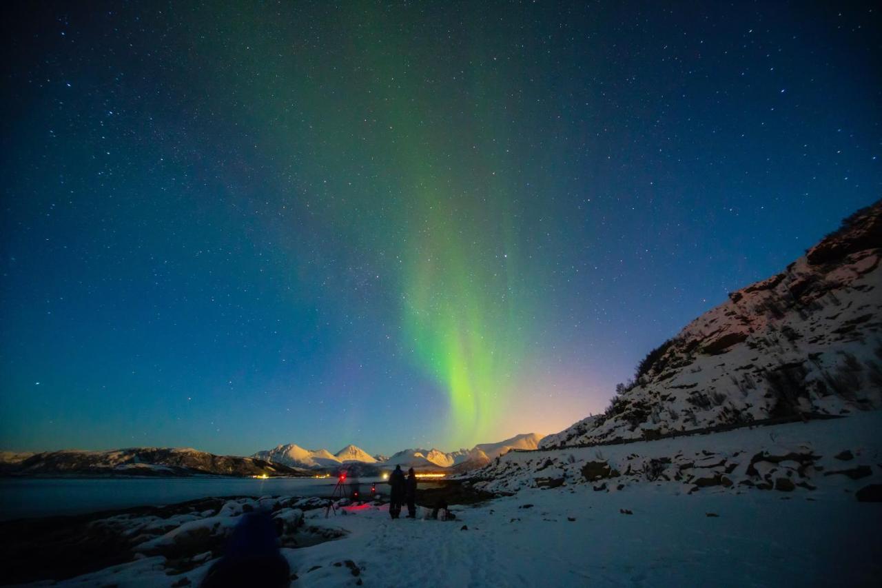 Aera - Glass Cabins Tromsø Dış mekan fotoğraf