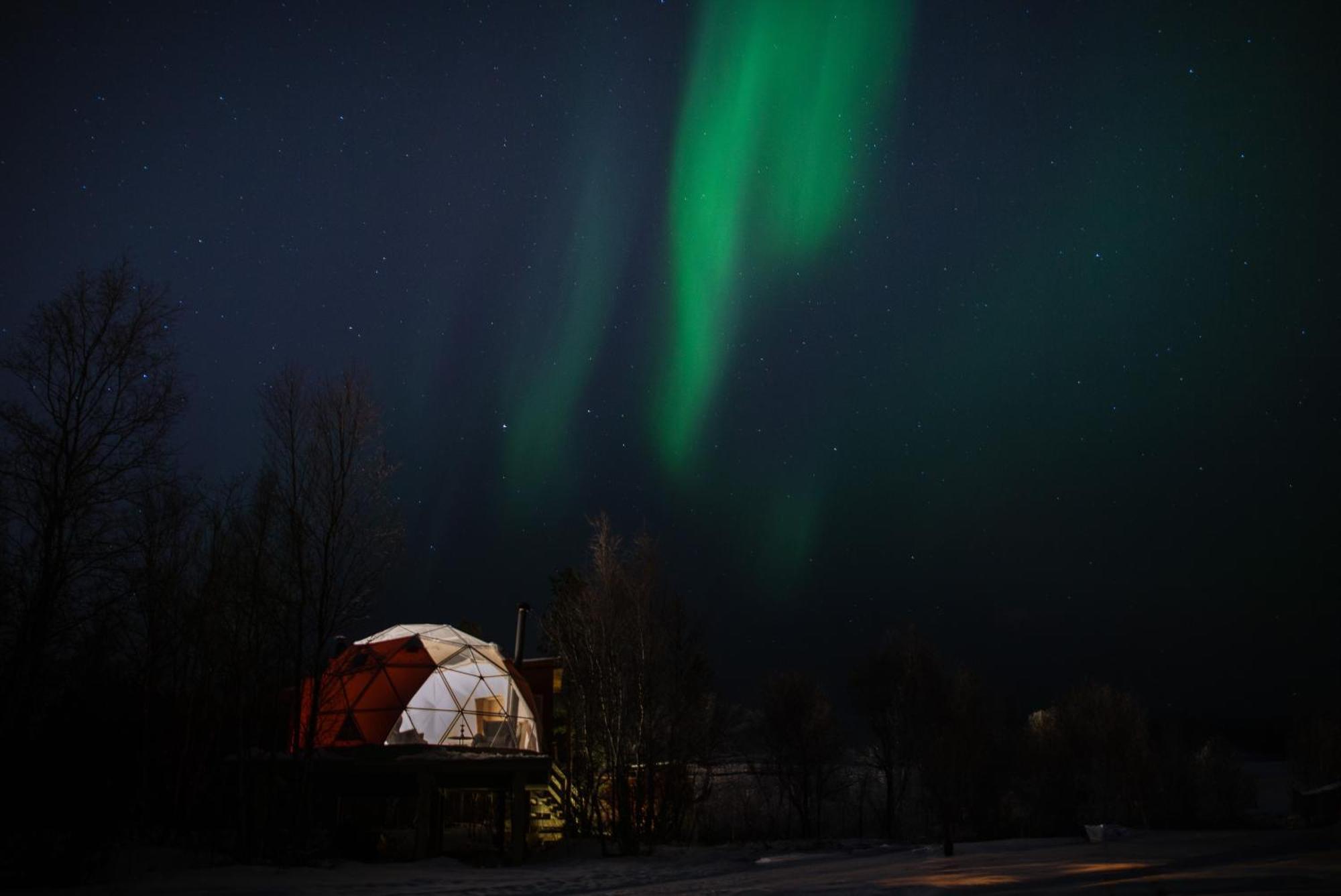 Aera - Glass Cabins Tromsø Dış mekan fotoğraf